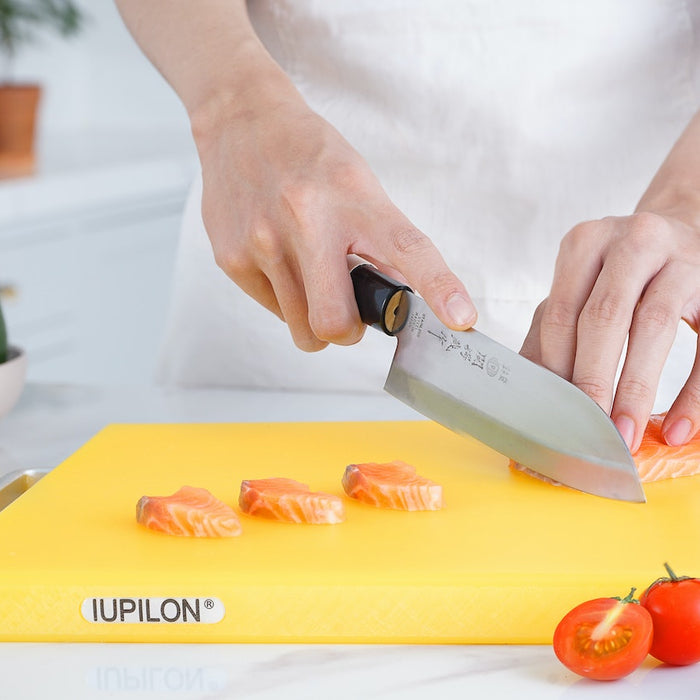 slicing salmon using miyabi knife